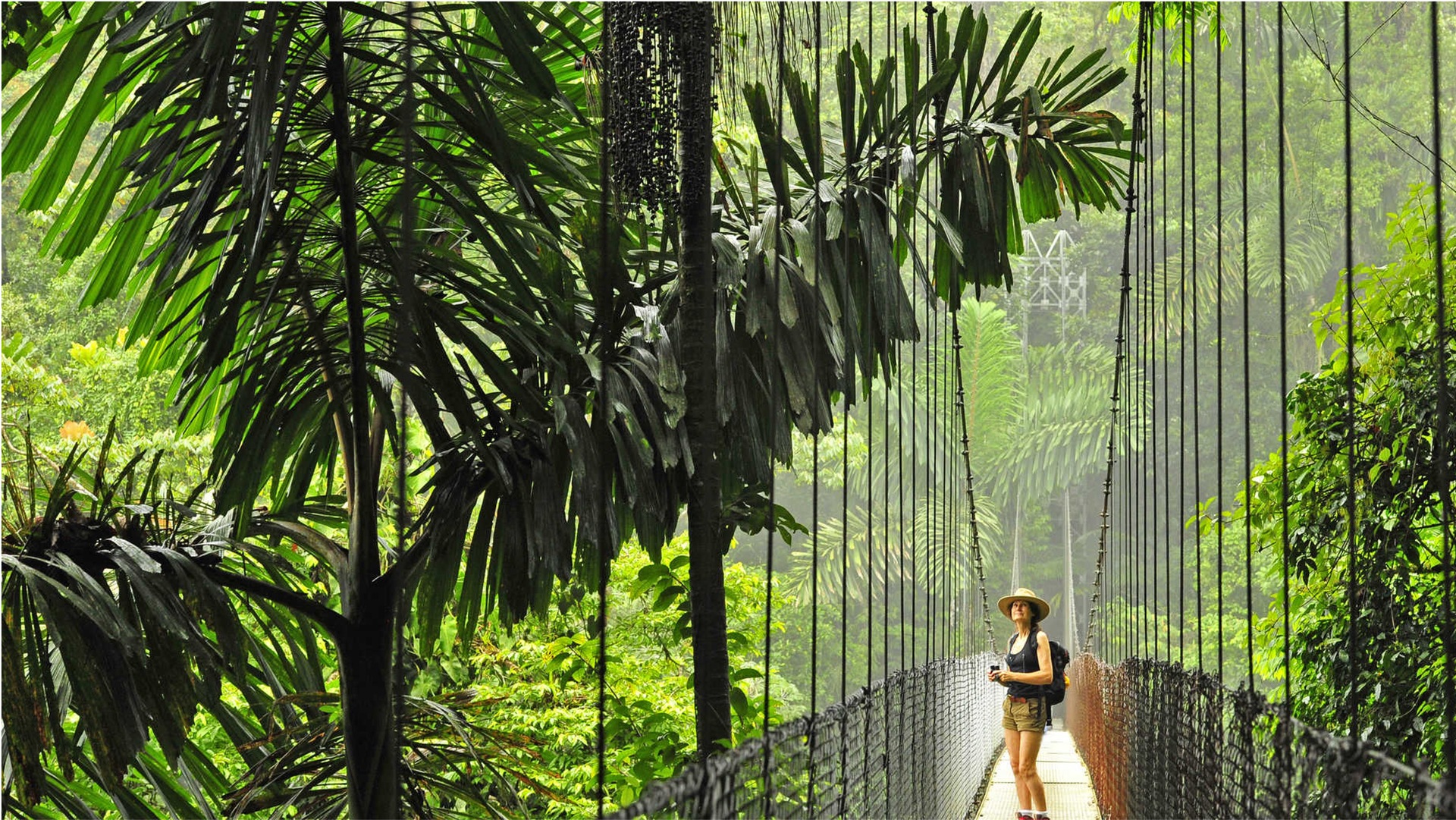 Une femme debout dur un pont suspendu dans la forêt tropicale du Costa Rica