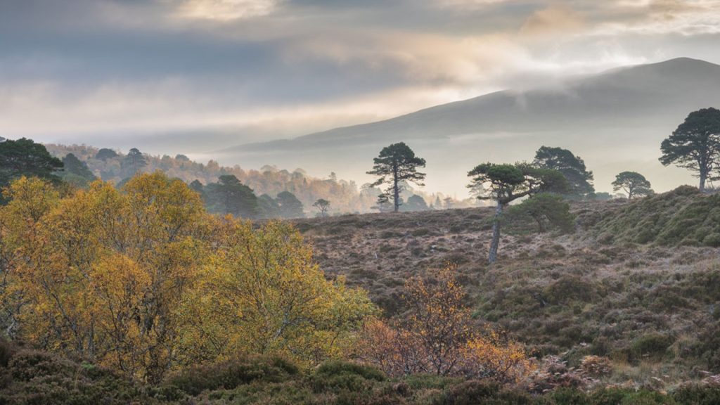 Paysage de l'Écosse rempli de brouillard, de montagnes et d'arbres à couleurs automnales